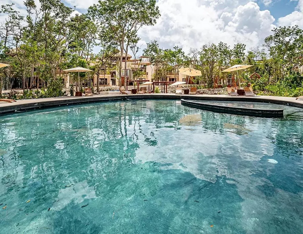 Penthouse Con Jacuzzi Privado, Cenotes, Piscinas, Gym Y Mas Apartment Tulum