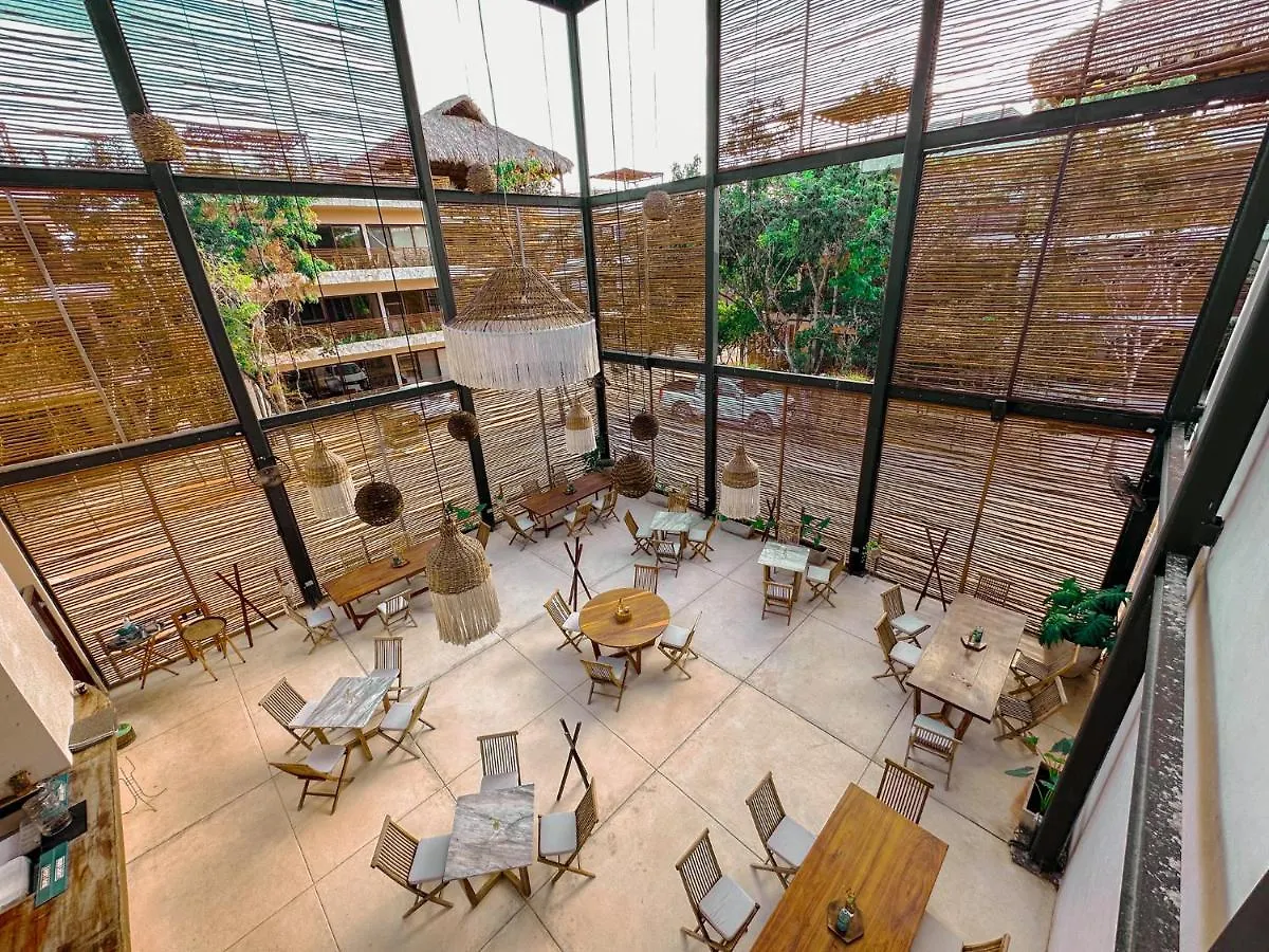 Penthouse Con Jacuzzi Privado, Cenotes, Piscinas, Gym Y Mas Lägenhet Tulum 0*,  Mexiko