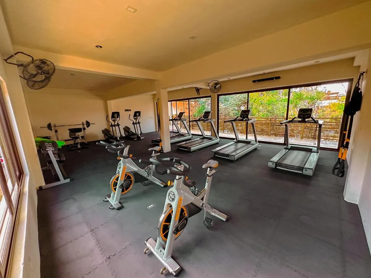 Penthouse Con Jacuzzi Privado, Cenotes, Piscinas, Gym Y Mas Lägenhet Tulum