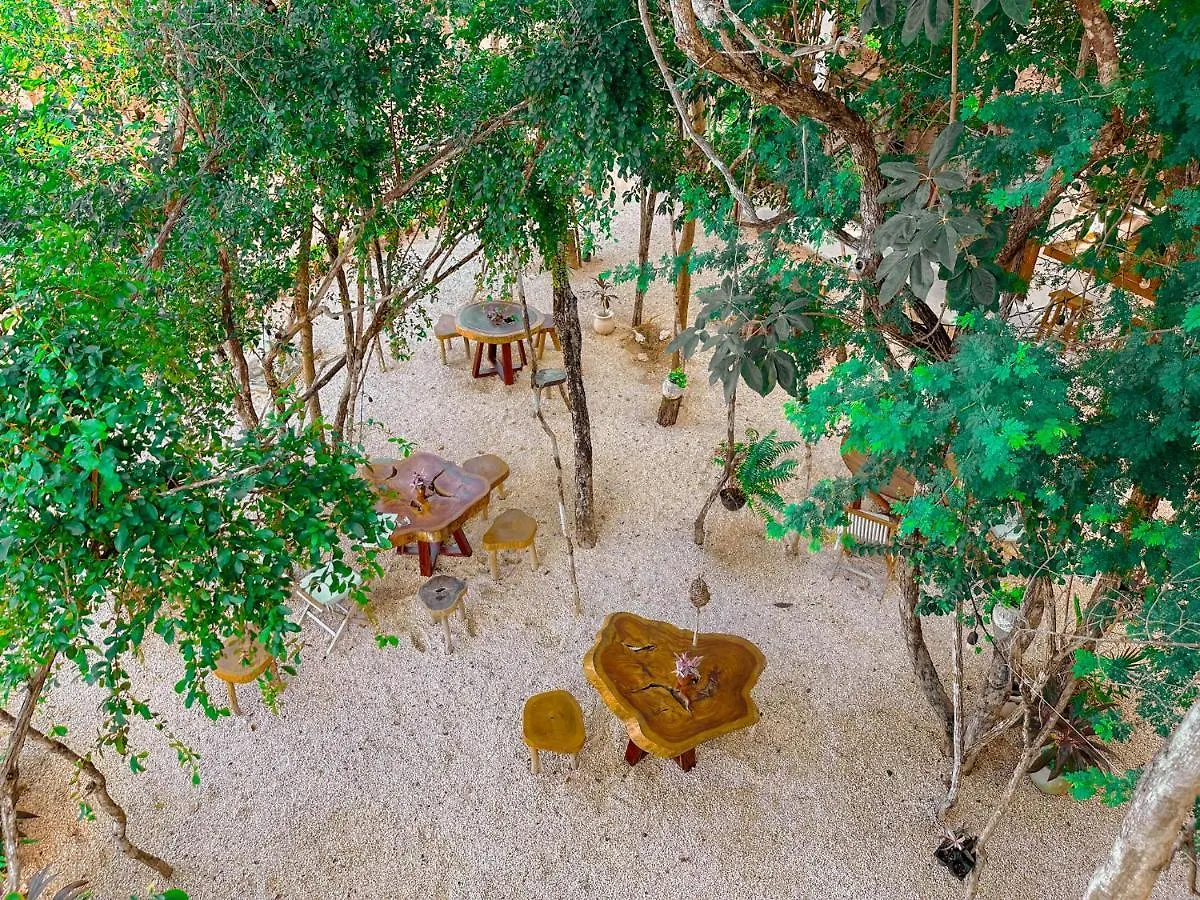 Penthouse Con Jacuzzi Privado, Cenotes, Piscinas, Gym Y Mas Lägenhet Tulum 0*,